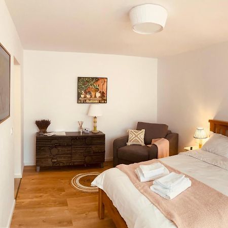 Warm And Cozy Studio Flat Near Straja Uricani  Luaran gambar